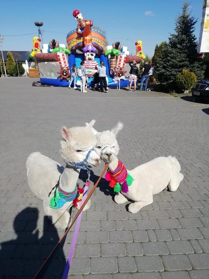 Maka I Magia Obiady Domowe Hotel Zambrow Exteriör bild